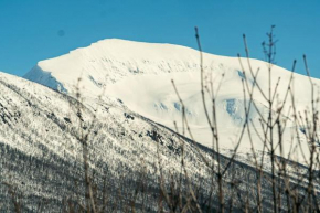 Big family house with 3 bedrooms Tromsø